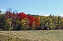 IMG_8845x