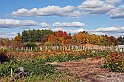 IMG_9044x