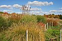 IMG_9049x