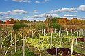 IMG_9053x