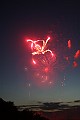 IMG_5810