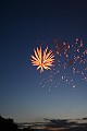 IMG_5826