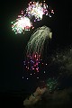 IMG_5952
