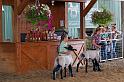 IMG_6189x