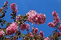 IMG_9008x