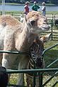 IMG_8872x