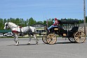 IMG_0157x