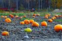 IMG_5879x