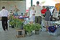 IMG_2954x