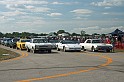 IMG_4203x