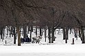 IMG_10005-4x6