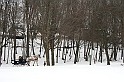 IMG_10009-4x6