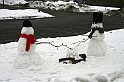 IMG_9988-4x6