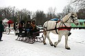 IMG_9998-4x6